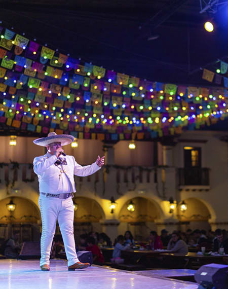 México Lindo, a show to savour whilst dining in true Mexican style México Lindo, a show to savour whilst dining in true Mexican style