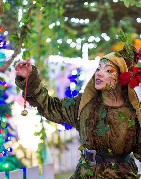 El Bosque Encantado El Bosque Encantado