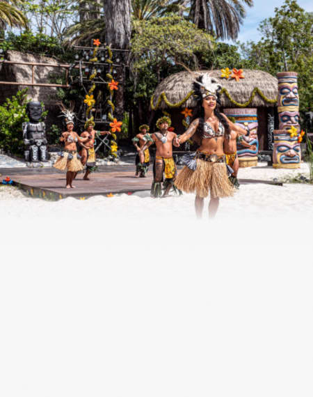 Aloha Tahití, descobreix la dansa polinèsia de la prosperitat
