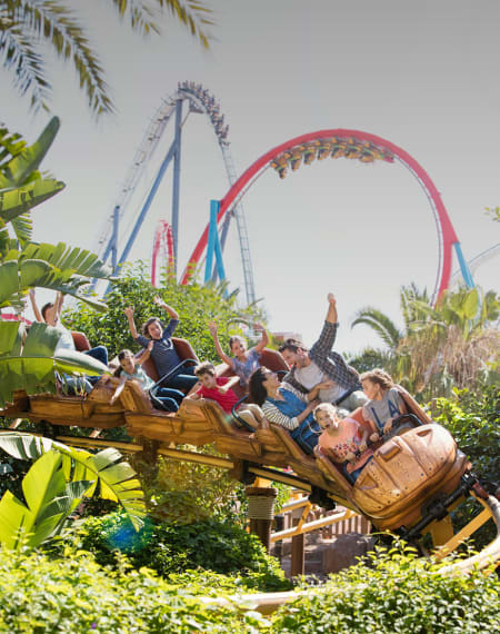 ENTRADES: 50% dte. durant la temporada 2026