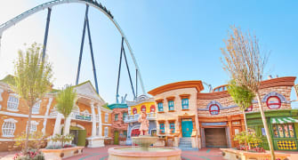 Furius baco Furius baco