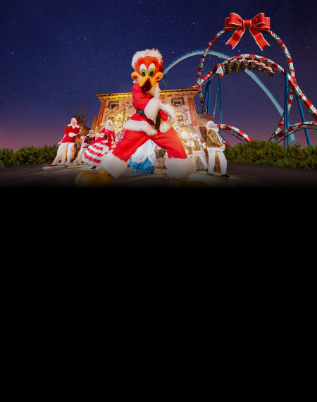 ENTRADES: 2 dies, 2 parcs des de 33 €/dia ENTRADES: 2 dies, 2 parcs des de 33 €/dia