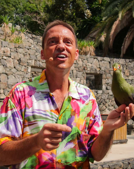 Aves del Paraíso : bienvenue à notre famille d’oiseaux exotiques Aves del Paraíso : bienvenue à notre famille d’oiseaux exotiques
