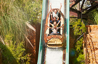 Attractions PortAventura World