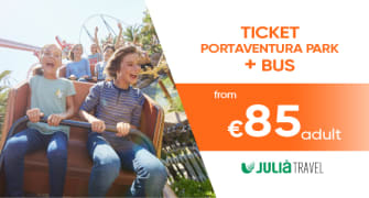 Entradas de 1 día con transporte