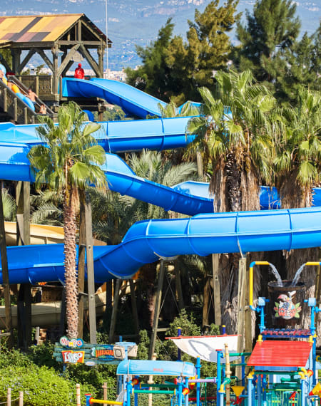 Mambo Limbo, slide paradise Mambo Limbo, slide paradise