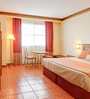 /content/rooms/StandardHotelElPaso/hotel-el-paso-habitacion-standard-03