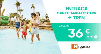 Entradas de 1 día con transporte