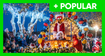 entradasHotelPromoImg entradasHotelPromoImg