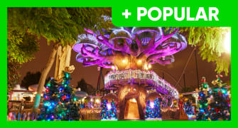 ticketsHotelPromoImg ticketsHotelPromoImg