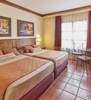 /content/rooms/StandardHotelElPaso/hotel-el-paso-habitacion-standard-05