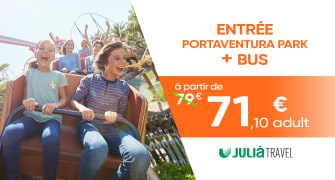 Entradas de 1 día con transporte