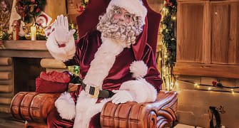 bosque-encantado-espectaculo-portaventura bosque-encantado-espectaculo-portaventura