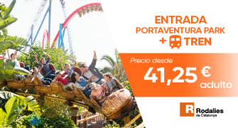 Entradas de 1 día con transporte