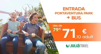 Entradas de 1 día con transporte